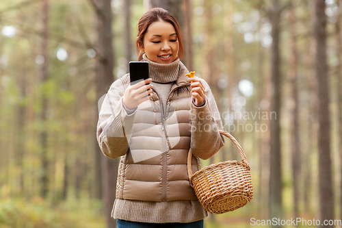 Image of asian woman using smartphone to identify mushroom