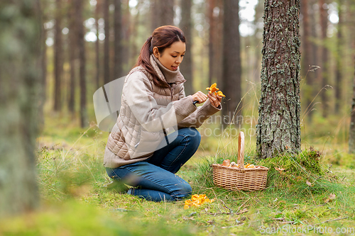 Image of young woman picking mushrooms in autumn forest