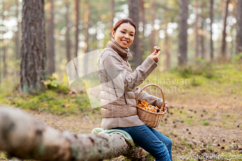 Image of woman with mushrooms in basket in autumn forest