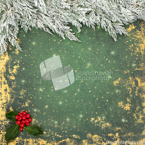 Image of Snow Fir Winter Holly Christmas New Year Background 