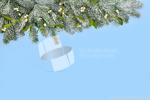 Image of Christmas Snow Fir Mistletoe Background on Pastel Blue