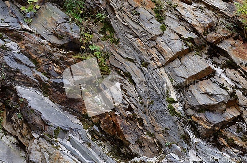 Image of Dark diagonal granite rock layers with some vegetation