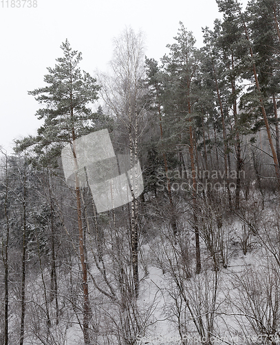 Image of Snow drifts in winter