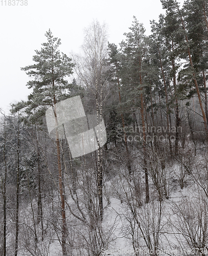 Image of Snow drifts in winter