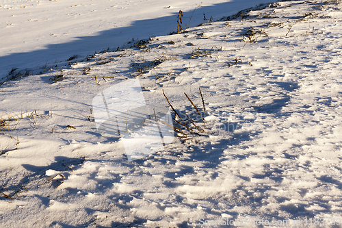 Image of Snow after snowfall