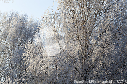 Image of winter landscape