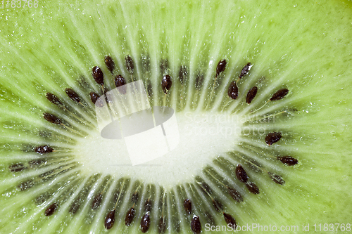 Image of ripe green kiwi