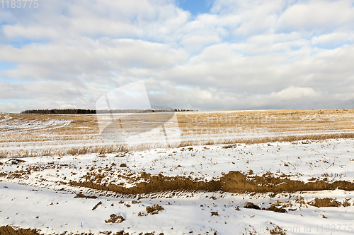 Image of Field under the snow, winter