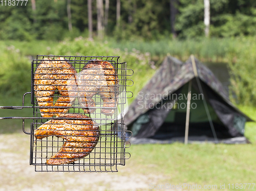 Image of grill red fish on a picnic