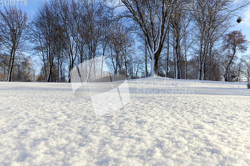 Image of Snow drifts in winter