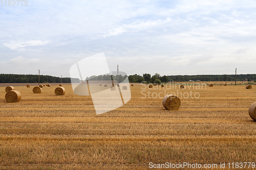 Image of cylindrical shape of straw stacks