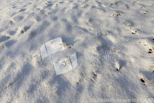 Image of Snow drifts in winter