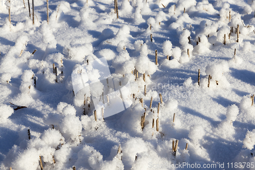 Image of Snow drifts in winter