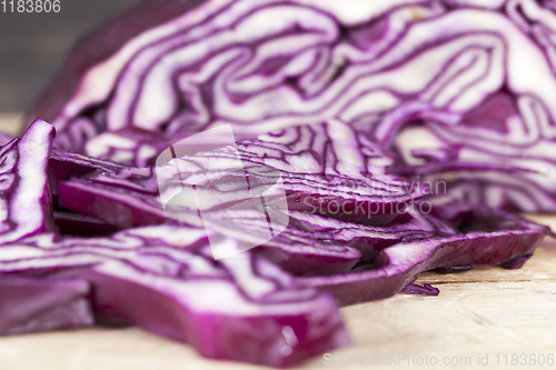 Image of colored violet cabbage