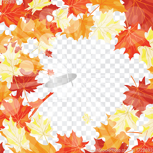 Image of Maple leaves on transparency grid