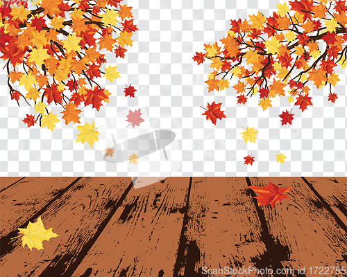 Image of Maple leaves on transparency grid