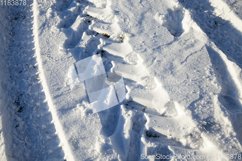 Image of Snow drifts in winter