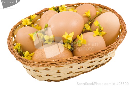 Image of Colourful Easter Eggs