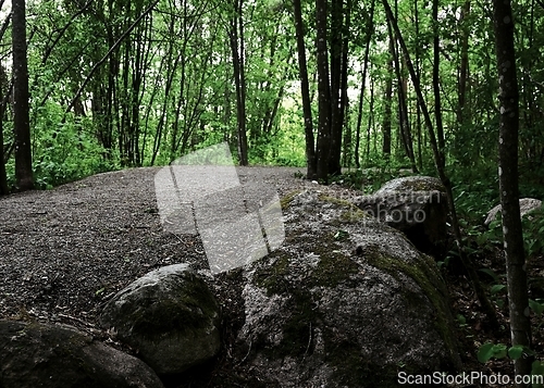 Image of walking dirt path in the park