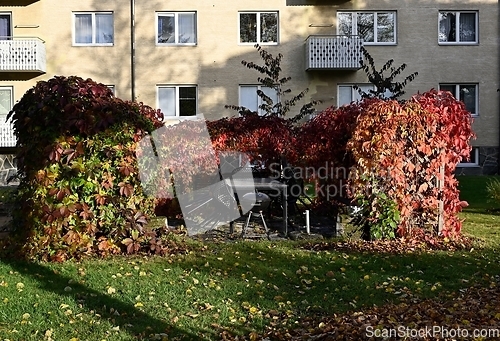 Image of a place for a barbecue in the yard 