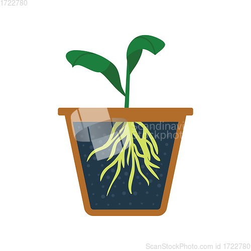 Image of Seedling icon