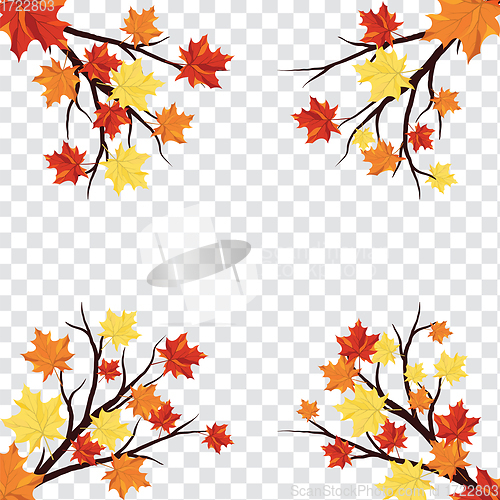 Image of Maple leaves on transparency grid