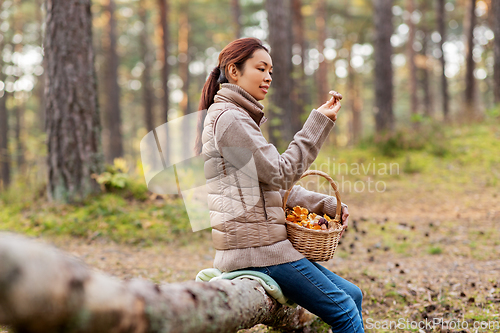 Image of woman with mushrooms in basket in autumn forest