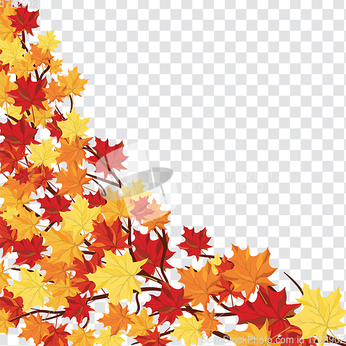 Image of Maple leaves on transparency grid