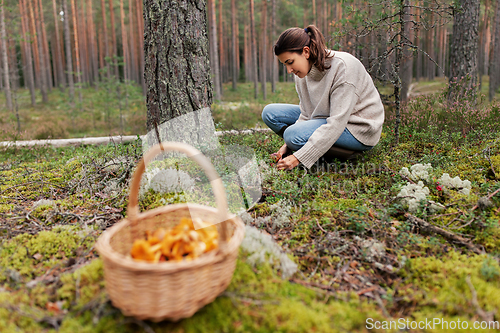 Image of young woman picking mushrooms in autumn forest