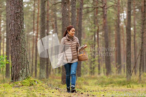 Image of young woman picking mushrooms in autumn forest