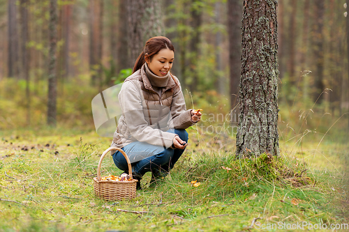 Image of young woman picking mushrooms in autumn forest