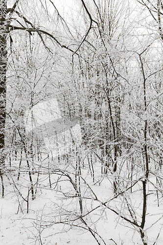 Image of Snow drifts in winter