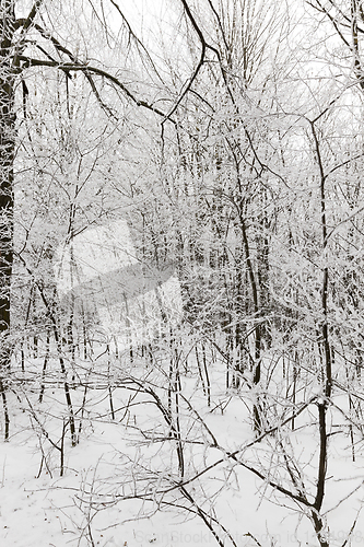 Image of Snow drifts in winter