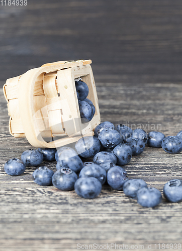 Image of ripe blueberry berries