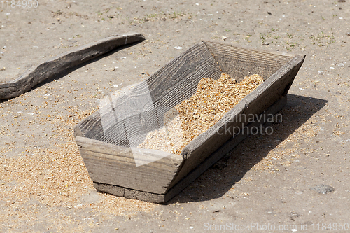 Image of old wooden trough with grain