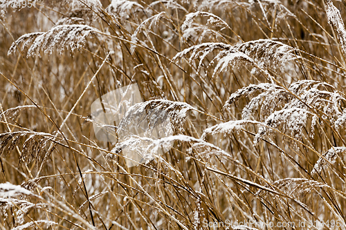 Image of Winter season