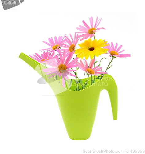 Image of Bouquet of daisies in a watering can