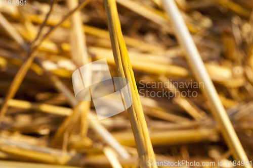 Image of details of straw