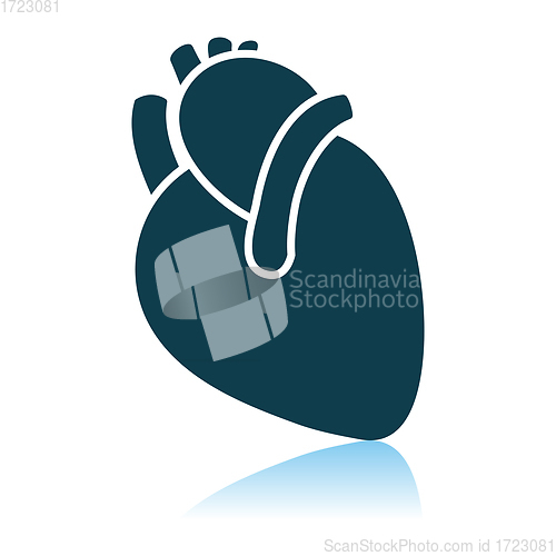 Image of Human Heart Icon