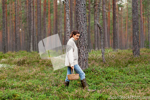 Image of woman with basket picking mushrooms in forest