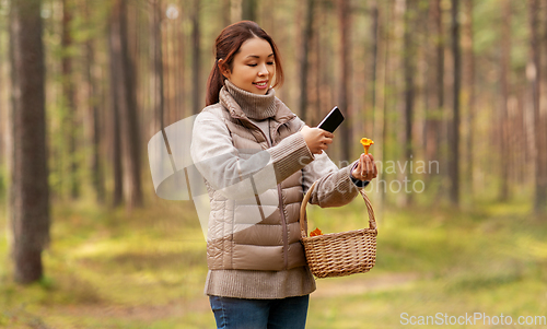 Image of asian woman using smartphone to identify mushroom