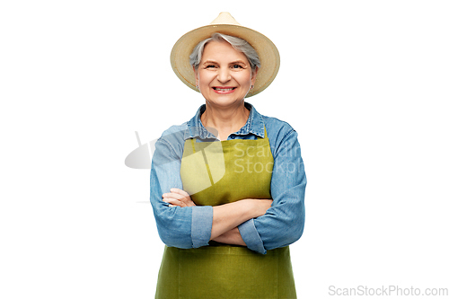 Image of portrait of smiling senior woman in garden apron