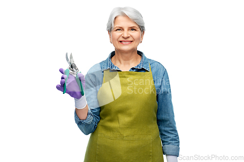 Image of smiling senior woman in garden apron with pruner