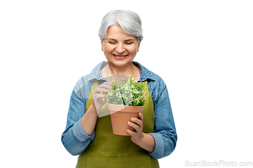 Image of smiling senior woman in garden apron with flower