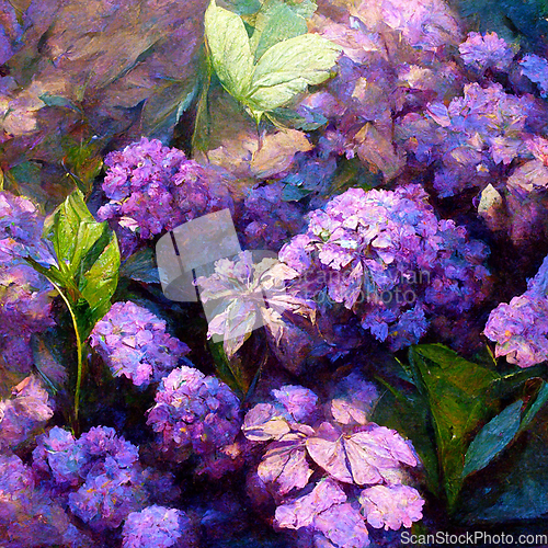 Image of Hydrangea macrophylla - Beautiful bush of hydrangea flowers.