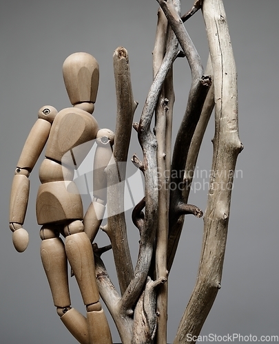 Image of wooden artist model and dry tree branches