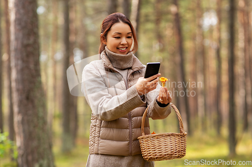 Image of asian woman using smartphone to identify mushroom