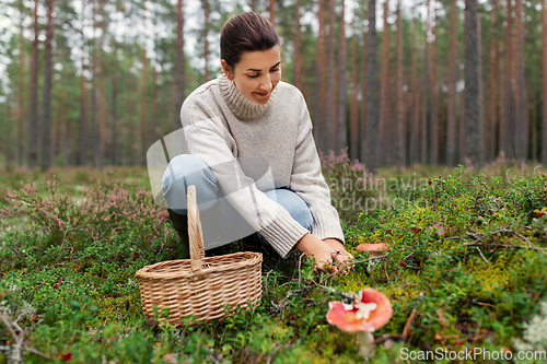 Image of young woman picking mushrooms in autumn forest