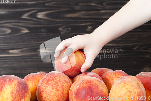 Image of fresh soft peaches