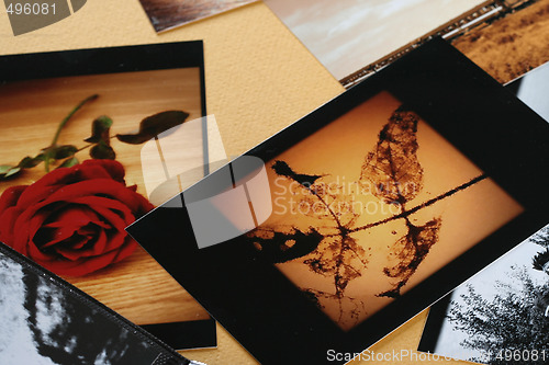 Image of Photo Album